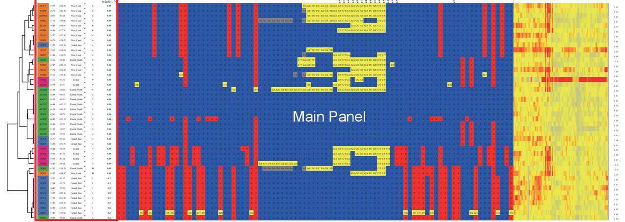 Figure 3A from the HAPPE paper: an Excel haplotype matrix with a sample tree, sample details and read-depth heatmap.