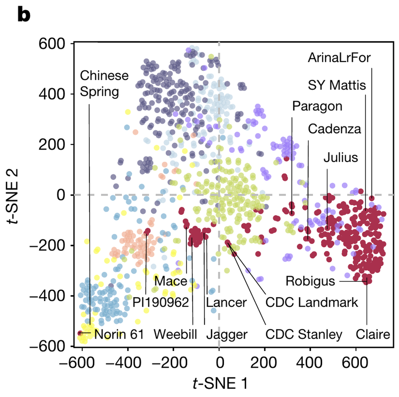 Panel b of Figure 1 from the wheat study: t-SNE population structure.